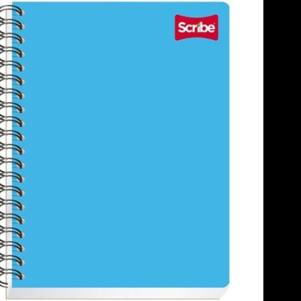 CUADERNO PROF. CLASICO SCRIBE 2904 D.RAYA ESP. 100H. C.24